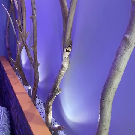 Otel Et Du Scharrach Soultz-les-Bains