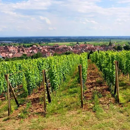 Et Du Scharrach 2*